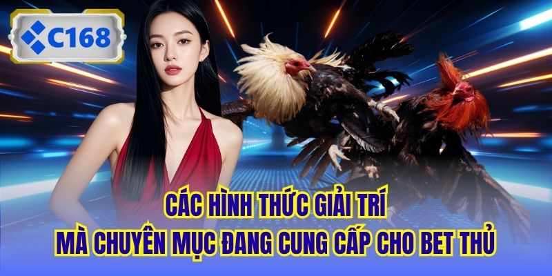 Các hình thức giải trí mà chuyên mục đang cung cấp cho bet thủ