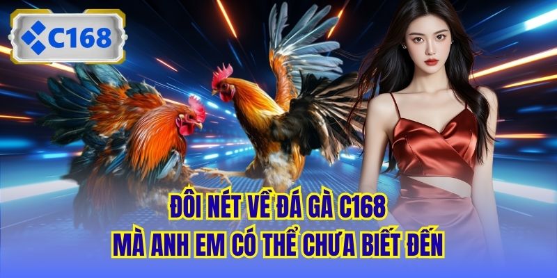 Đôi nét về đá gà C168 mà anh em có thể chưa biết đến